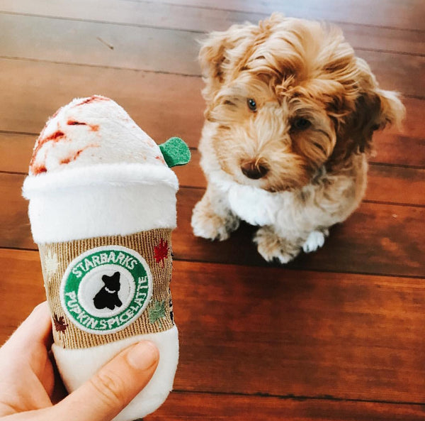 Pumpkin spice discount latte dog toy