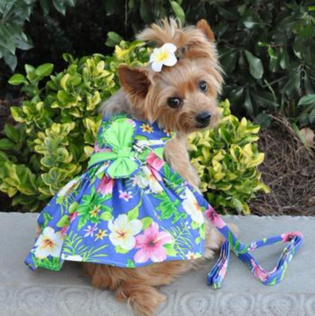Blue Hawaiian Dog Dress w/ matching Leash