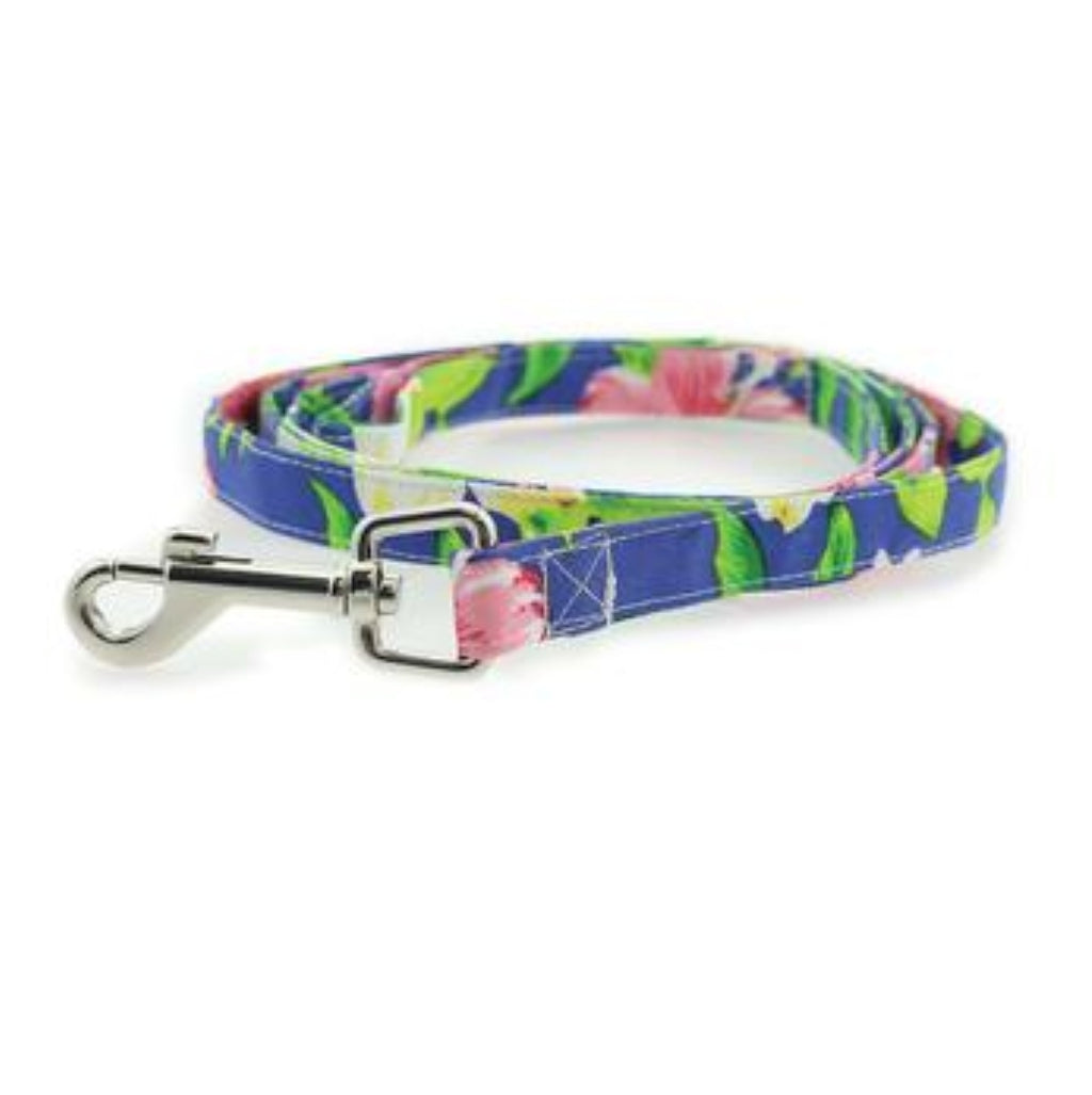Blue Hawaiian Dog Dress w/ matching Leash