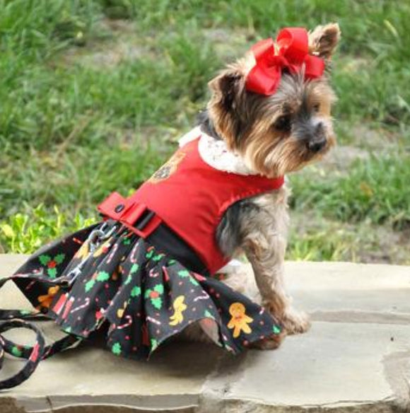 Gingerbread Holiday Dress w/ matching Leash