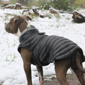 Alpine Extreme Weather Black Puffer Coat