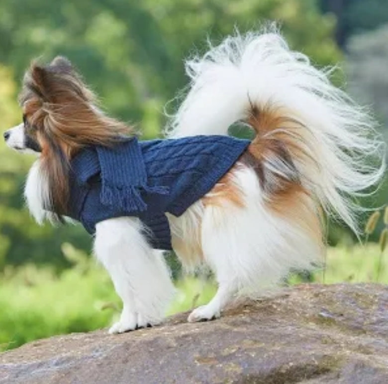 Blue Scarf Dog Sweater