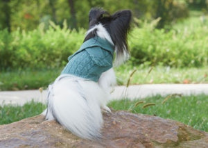 Sage Scarf Dog Sweater
