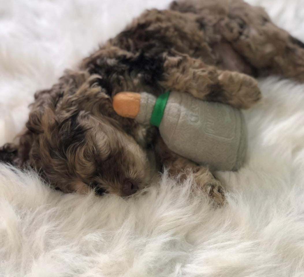 Puptron Tequila Dog Toy