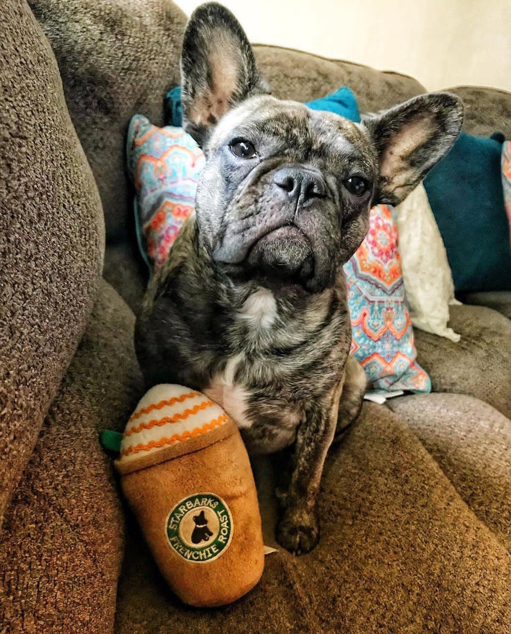 Starbarks Coffe w/ Straw Dog Toy