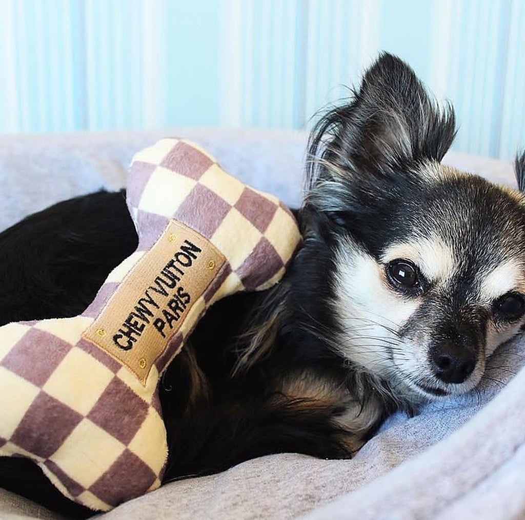 Checker Chewy Vuiton Paris Bone Dog Toy