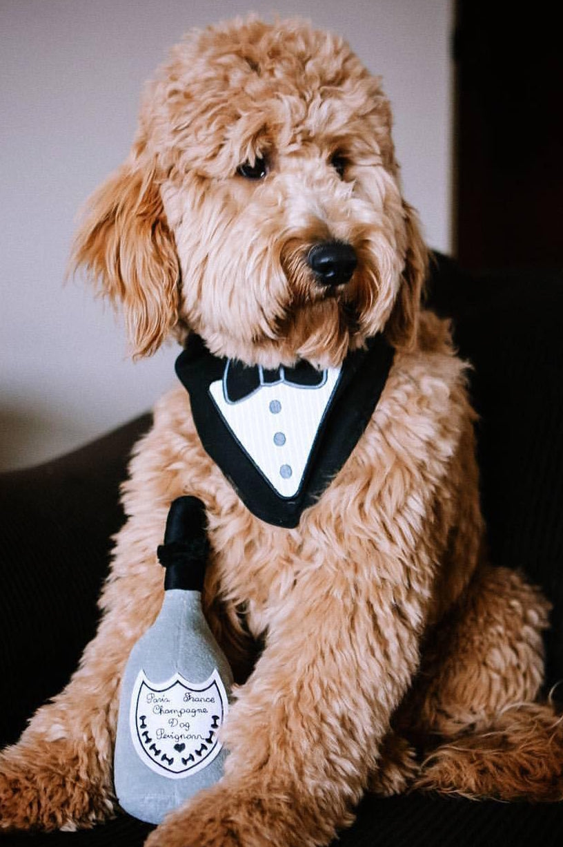 Dog perignon toy store