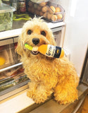 Grrrona Beer Bottle Dog Toy