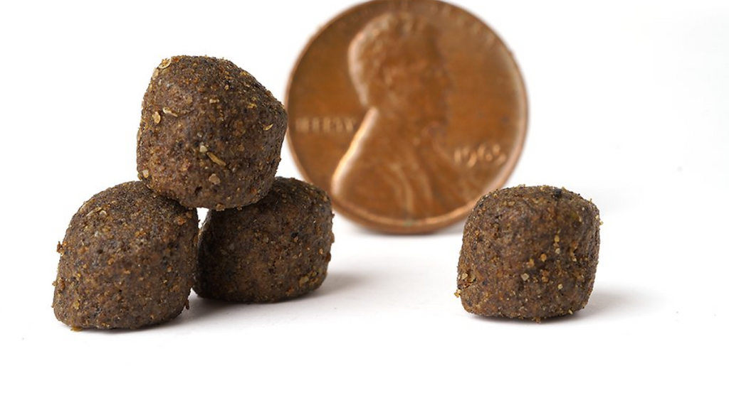 VICTOR Yukon River Salmon & Sweet Potato Grain-Free Dry Dog Food
