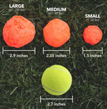 WUNDERBALL Fetch Dog Toy, Color Varies, Small