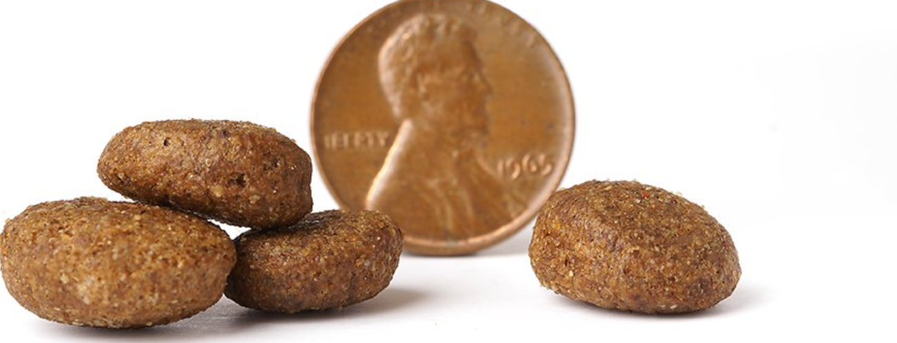 VICTOR Senior Healthy Weight Dry Dog Food