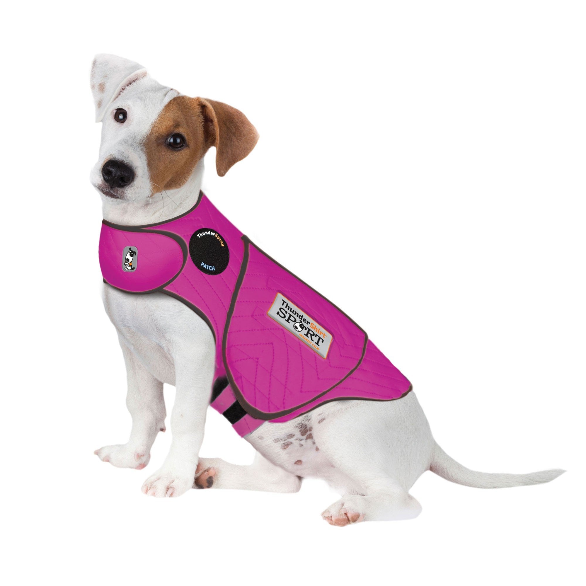 ThunderShirt Sport for Dogs Anxiety Vest – Pet Empire and Supplies