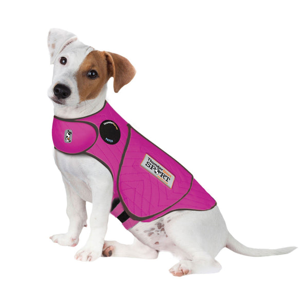 Thunder coats for pets hotsell
