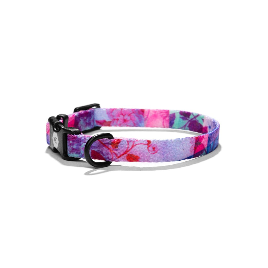 Wolfgang DayDream Dog Collar