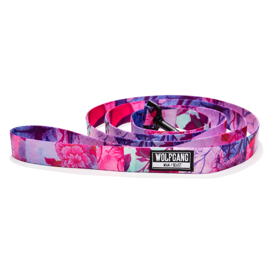 Wolfgang DayDream Dog Collar