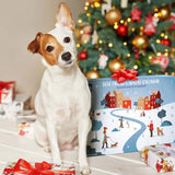Himalayan Pet Supply Best Friend's Advent Calendar Dog Treats