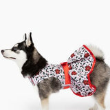 Doggie Design Holiday Holly Dog Dress With Leash