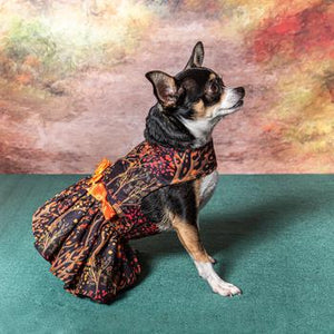 Doggie Design Fall Leaves Dog Dress With Leash
