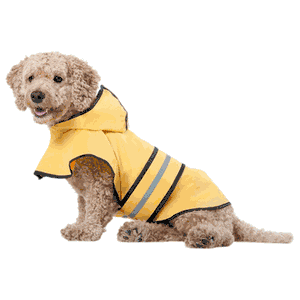 Fashion Pet Dog Raincoat for Dog