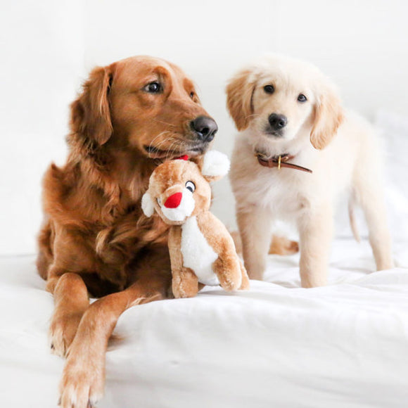 Zippy Paws Holiday Reindeer Plush Dog Toy