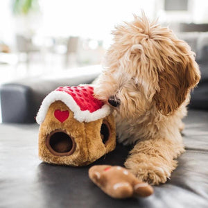 ZippyPaws Holiday Zippy Burrow - Gingerbread House Dog Toy