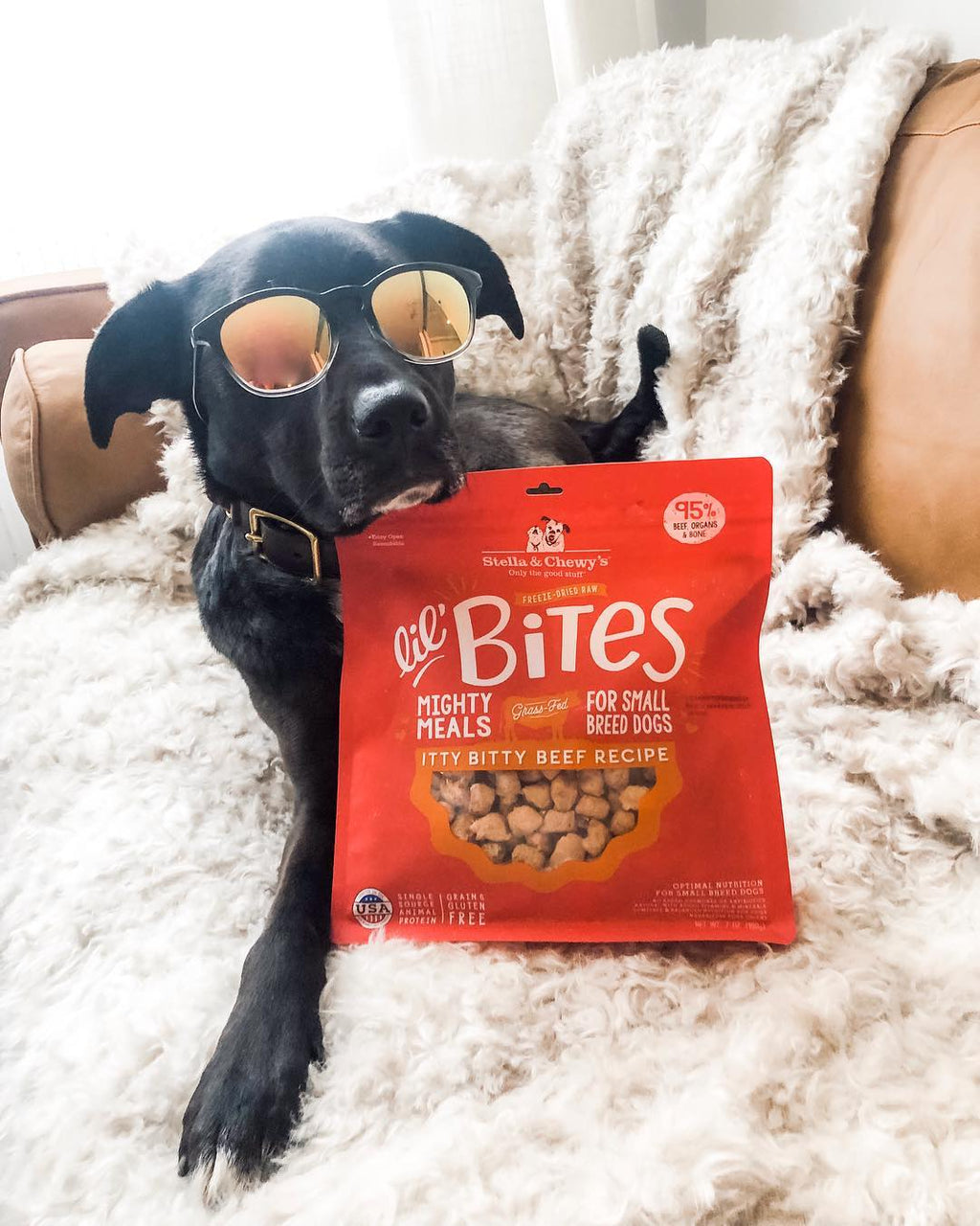 Stella&Chewy's Lil' Bites Itty Bitty Beef Recipe 7oz