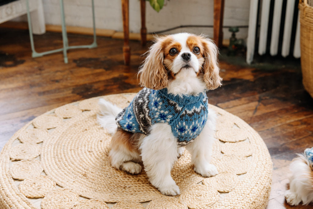 Chilly Dog -LIGHT BLUE FAIRISLE DOG SWEATER