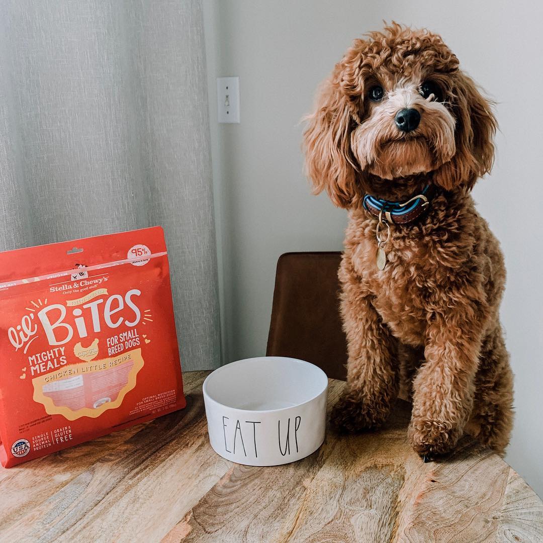Stella&Chewy's Chicken Little Lil' Bites 7oz