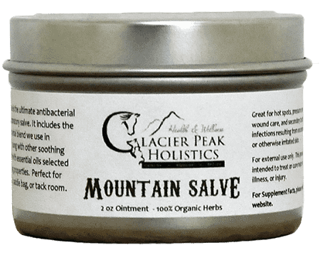 Glacier Peak Holistic Mountain Salve Ointment