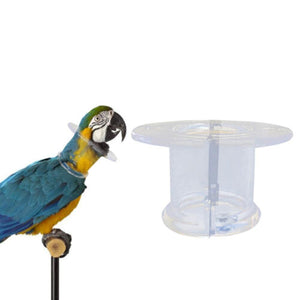 Bird E Collar; Bird Anti-bite Collar Parrot Anti-Plucking Neckband Bird Protective Restrict