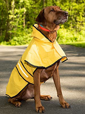 Xl shops dog raincoat