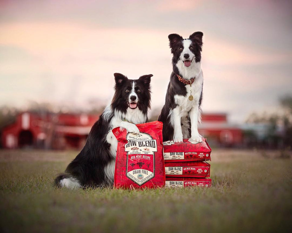 Stella&Chewy's Raw Blend Red Meat Recipe
