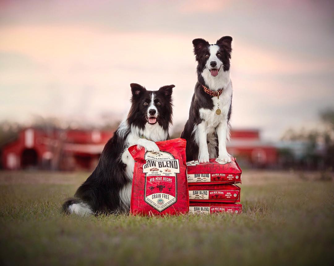Stella&Chewy's Raw Blend Red Meat Recipe