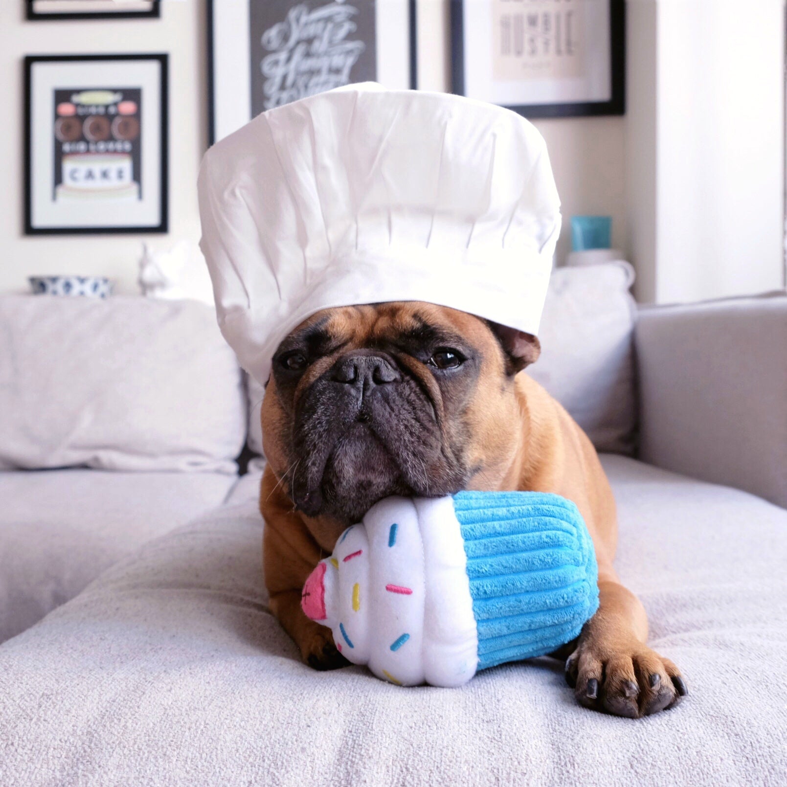 ZippyPaws Cupcake