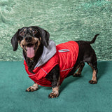 Doggie Design Weekender Quilted Hoodie Dog Jacket - Red