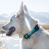 Wolfgang Great Escape Dog Collar